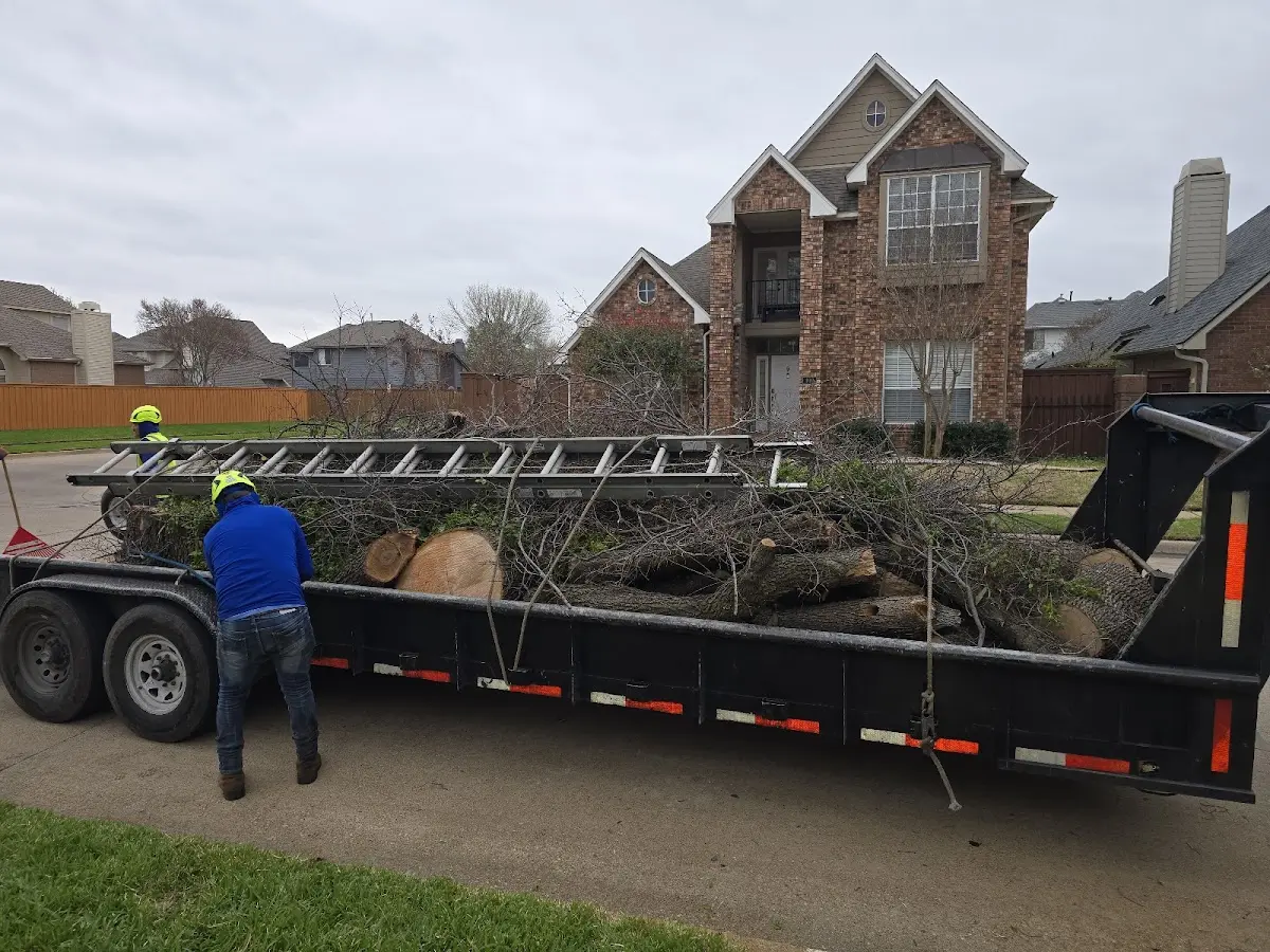 Expert Tree Fertilization with proper safety equipment in Slatyfork